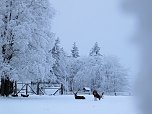 Der Oberharz am Brocken (Foto: Karin Lehmann, Peter Blei)