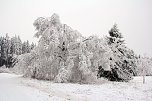 Der Oberharz am Brocken (Foto: Karin Lehmann, Peter Blei)