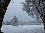Der Oberharz am Brocken (Foto: Karin Lehmann, Peter Blei)