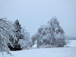 Der Oberharz am Brocken (Foto: Karin Lehmann, Peter Blei)
