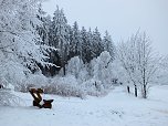 Der Oberharz am Brocken (Foto: Karin Lehmann, Peter Blei)