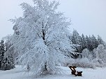 Der Oberharz am Brocken (Foto: Karin Lehmann, Peter Blei)