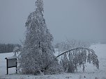 Der Oberharz am Brocken (Foto: Karin Lehmann, Peter Blei)