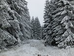 Der Oberharz am Brocken (Foto: Karin Lehmann, Peter Blei)