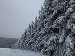 Der Oberharz am Brocken (Foto: Karin Lehmann, Peter Blei)