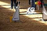 Hundesport und Faschingskost&uuml;m (Foto: nnz)