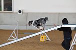 Hundesport und Faschingskost&uuml;m (Foto: nnz)
