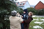 Der Weihnachtsbaum steht (Foto: Seifert) Der Weihnachtsbaum steht (Foto: Seifert)