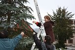 Der Weihnachtsbaum steht (Foto: Seifert) Der Weihnachtsbaum steht (Foto: Seifert)