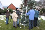 Der Weihnachtsbaum steht (Foto: Seifert) Der Weihnachtsbaum steht (Foto: Seifert)