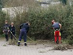Neustadt räumt auf (Foto: S. Witzel) Neustadt räumt auf (Foto: S. Witzel)