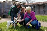 Besucherrekord im Tierheim (Foto: Sandra Witzel)