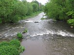 Wasser im Teich und im Park (Foto: nnz) Wasser im Teich und im Park (Foto: nnz)