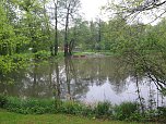 Wasser im Teich und im Park (Foto: nnz) Wasser im Teich und im Park (Foto: nnz)