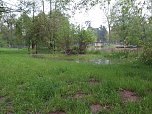 Wasser im Teich und im Park (Foto: nnz) Wasser im Teich und im Park (Foto: nnz)