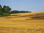 Feld brannte (Foto: Berufsfeuerwehr)