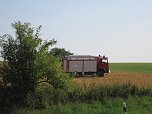 Feld brannte (Foto: Berufsfeuerwehr)