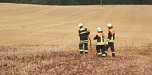 Fl&auml;chenbrand bei Herreden (Foto: http://www.ffw-ndh-mitte.de/einsatznummer-201431-flaechenbrand-in-herreden/)