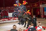 Besuch im Zirkus (Foto: Sven Tetzel)