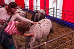 Besuch im Zirkus (Foto: Sven Tetzel)