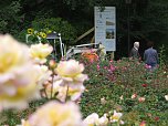 Ortstermin im Rosengarten (Foto: nnz) Ortstermin im Rosengarten (Foto: nnz)