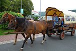 20. Koloniefest in Sollstedt (Foto: Bernd Peter)