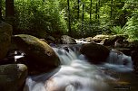 Der Harz im Herbst (Foto: Andreas Levi)