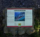 Dinosaurier auf Rügen (Foto: Karin Lehmann, Peter Blei) Dinosaurier auf Rügen (Foto: Karin Lehmann, Peter Blei)