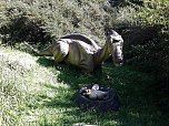 Dinosaurier auf Rügen (Foto: Karin Lehmann, Peter Blei) Dinosaurier auf Rügen (Foto: Karin Lehmann, Peter Blei)