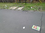 Weggeworfen (Foto: privat)