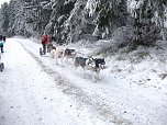 Beim Schlittenhunderennen dabei  (Foto: S. Eicke)