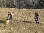Der Nordh&auml;user Kreisverband des BUND beim Arbeitseinsatz auf den Pfaffenk&ouml;pfen (Foto: Bodo Schwarzberg)