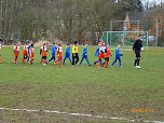 Ellrichs F-Jugend ist im Finale des Kreispokals (Foto: Matthias Eichel) Ellrichs F-Jugend ist im Finale des Kreispokals (Foto: Matthias Eichel)