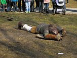 Wikinger auf der Burg Regenstein (Foto: Peter Blei)