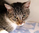 Animal hording in Nordhausen (Foto: privat)