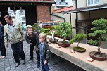 Fernöstliche Kunst in Grün - Bonsai-Ausstellung in der Echte Nordhäuser Traditionsbrennerei (Foto: Angelo Glashagel) Fernöstliche Kunst in Grün - Bonsai-Ausstellung in der Echte Nordhäuser Traditionsbrennerei (Foto: Angelo Glashagel)