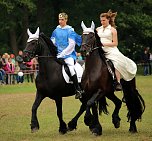 Pferde, Pferde und nochmals Pferde (Foto: Berti Voigt)