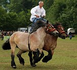 Pferde, Pferde und nochmals Pferde (Foto: Berti Voigt)