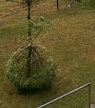 Bilder vom Unwetter (Foto: nnz-Leser)