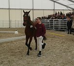 Bilder aus dem Vereinsleben (Foto: privat)