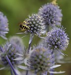 An- und Aussichten (Foto: Peter Blei) An- und Aussichten (Foto: Peter Blei)