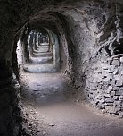 Barbarossa wird munter (Foto: Karin Lehmann) Barbarossa wird munter (Foto: Karin Lehmann)