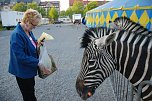 Circus Rolina gastiert in Nordhausen  (Foto: nnz-City Scout: Sven G&auml;mkow)