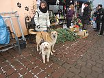 Weihnachtsmarkt im Tierheim (Foto: privat)
