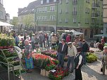Pflanzenmarkt am Sonntag (Foto: Karl-Heinz Herrmann)