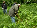 Arbeit im Park (Foto: nnz)