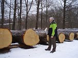 Unter dem Hammer: Forstamtsleiter Jan Klüßendorf aus Bad Berka begutachtet die gut verkaufte Eiche aus dem Fronderöder Wald im Revier Königsthal (Foto: privat) Unter dem Hammer: Forstamtsleiter Jan Klüßendorf aus Bad Berka begutachtet die gut verkaufte Eiche aus dem Fronderöder Wald im Revier Königsthal (Foto: privat)