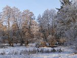 Winter im Nordhäuser Stadtpark (Foto: I. Domogalski) Winter im Nordhäuser Stadtpark (Foto: I. Domogalski)