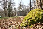 Der Frühling kommt - im Park Hohenrode ist er schon ein bisschen da (Foto: Angelo Glashagel) Der Frühling kommt - im Park Hohenrode ist er schon ein bisschen da (Foto: Angelo Glashagel)