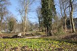 Der Frühling kommt - im Park Hohenrode ist er schon ein bisschen da (Foto: Angelo Glashagel) Der Frühling kommt - im Park Hohenrode ist er schon ein bisschen da (Foto: Angelo Glashagel)